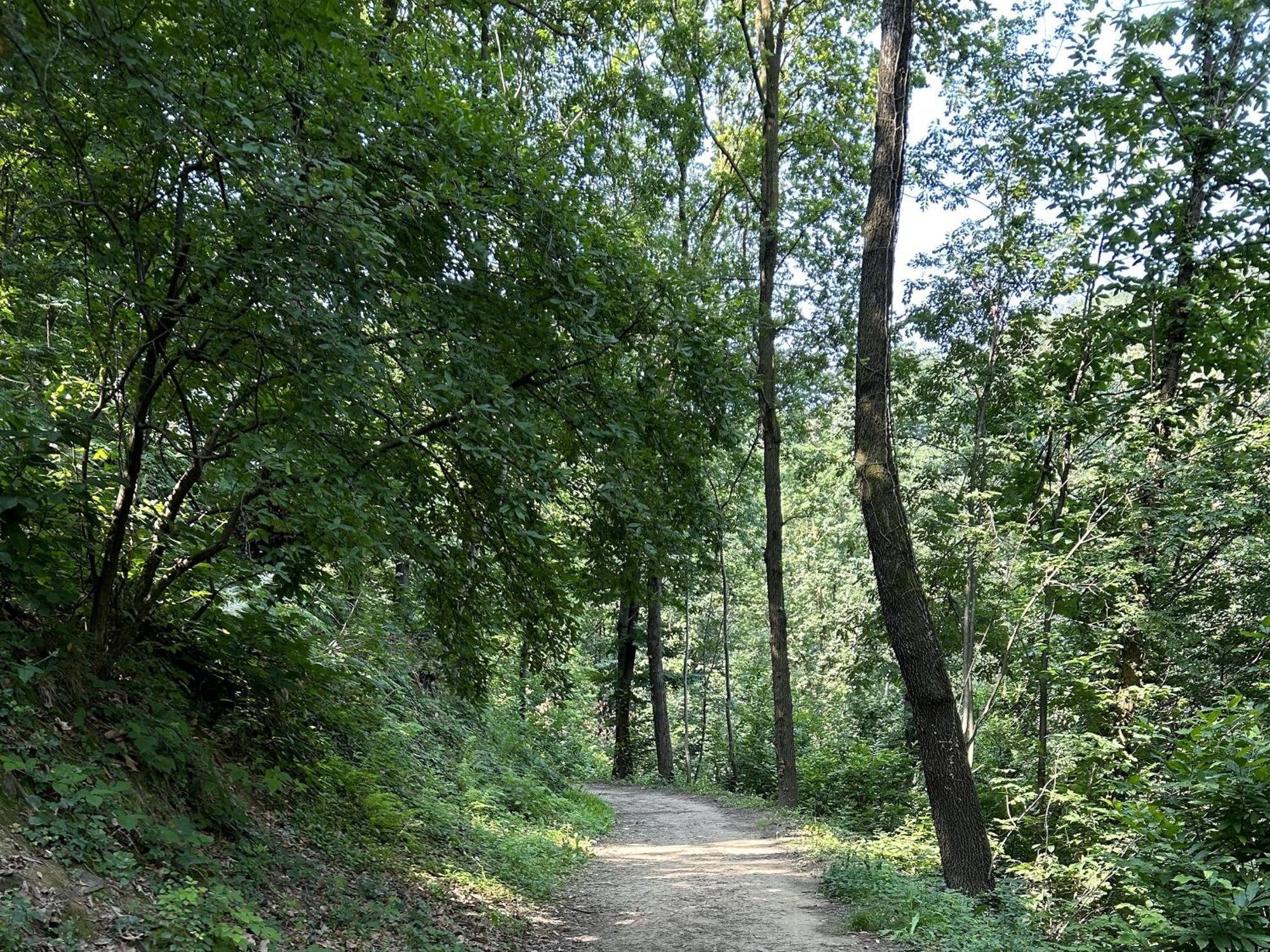 Appartement Il Giardino Di Berbech Citta Alta - Castagno à Bergame Extérieur photo